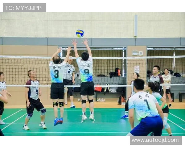 杭州排球队心理素质夺冠排球心理素质排行榜揭晓