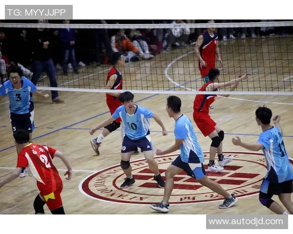 排球巨献：探秘西安排球队的力量