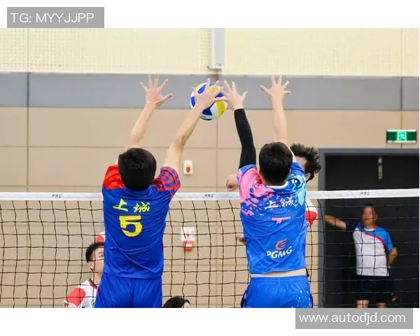 数据分析：杭州排球队的实力表现