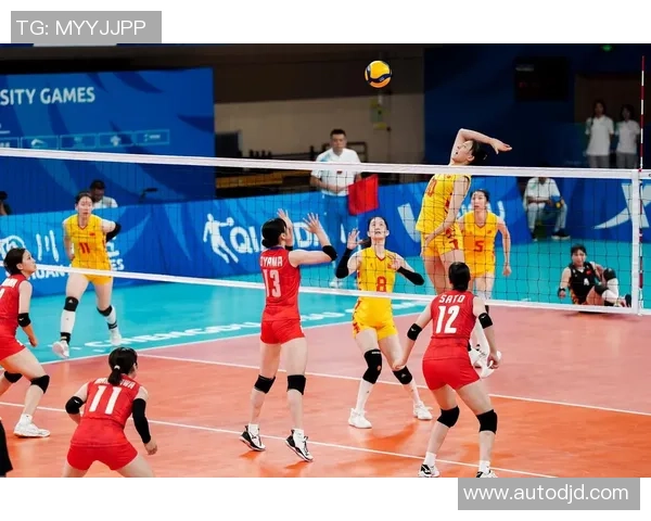 独家分析：成都排球队的战术对比