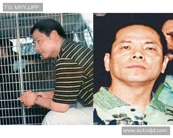 专访赵军：解密攀岩成功之道