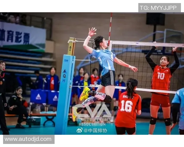 排球巨献：探秘重庆排球队的战术