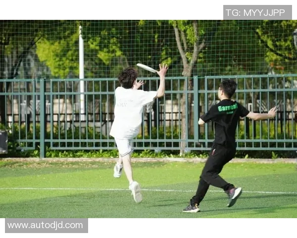 李敏独家：分享飞盘心得