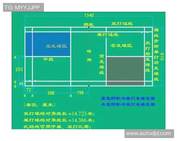 热议羽毛球:南京羽毛球队的战术变革 热议羽毛球:南京羽毛球队的战术变革